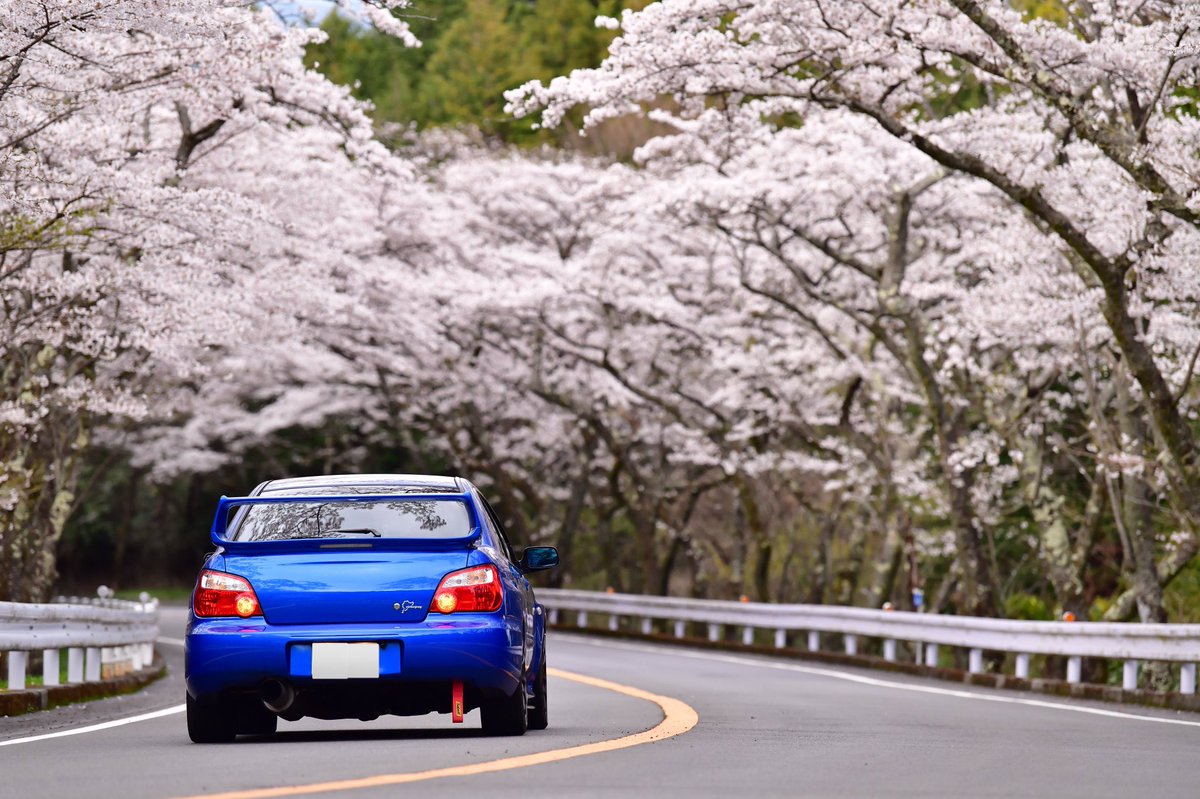 #愛車と桜のコラボ写真を載せて5RTを目指せ
よろしくお願いします🙏