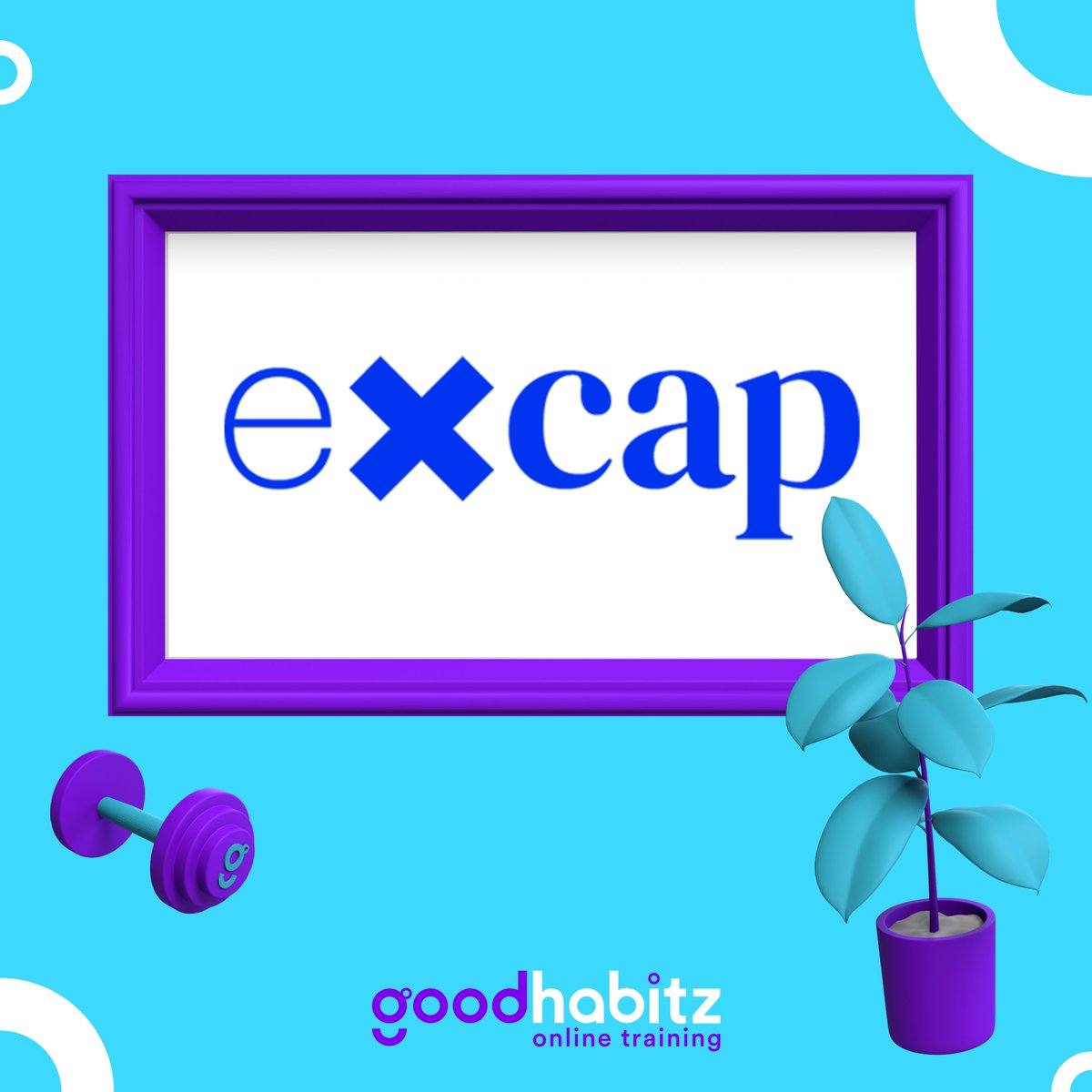 Medewerkers laten groeien zonder een HR-afdeling? Dat klinkt als een onmogelijke taak, maar niet voor Excap! 🚀 Zij integreerden GoodHabitz in hun onboarding en de HR cyclus.  🪄 Benieuwd naar meer? Laat je nu inspireren door het succesverhaal van Excap. spkl.io/601240ki0
