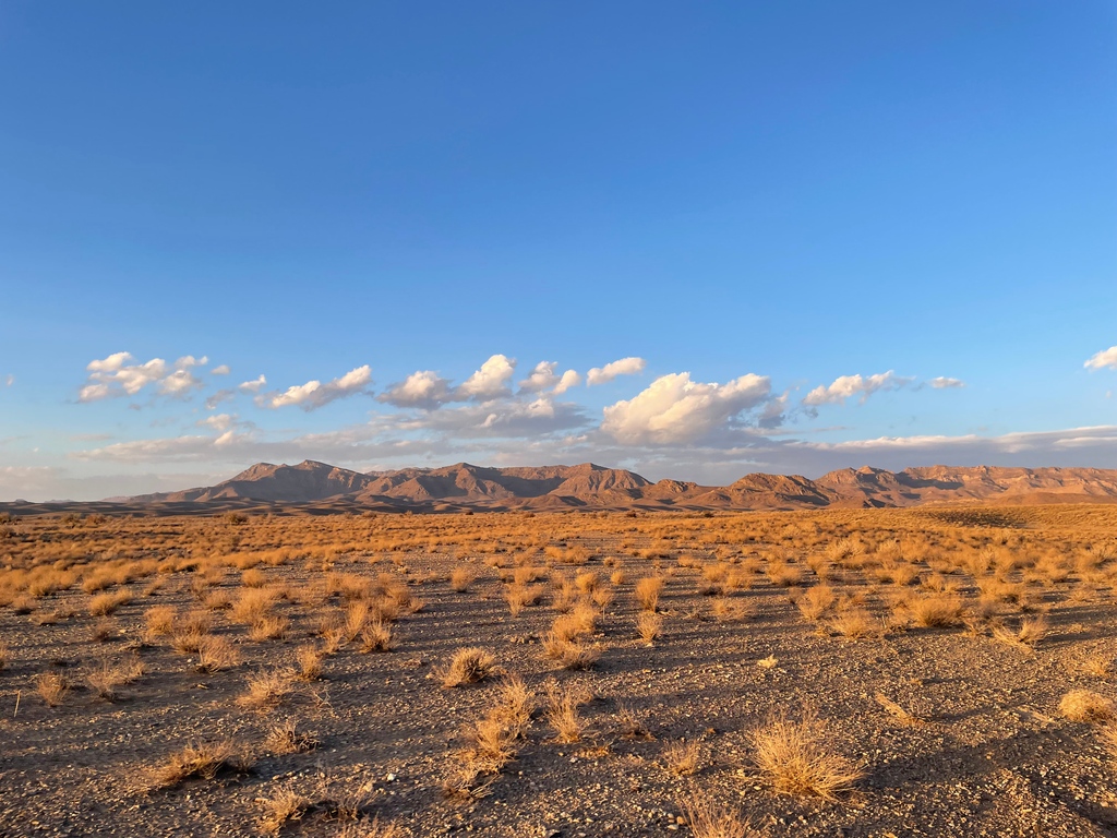 No Desert - No Life | Never forget that 💬

Full of authenticity, strength and clarity, the desert and its function remind us again and again of the value it actually brings us.
_______________

#desert #desertlife #deserts #palmdesert #highdesert #deserto #desertsafari