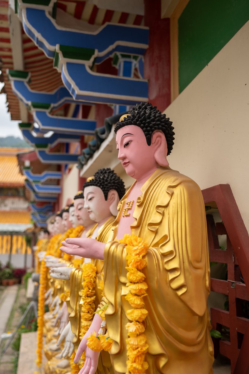 thailand-becausewecan.picfair.com/pics/019641381…
Buddha statues in the area of the Kek Lok Si Temple in George Town on Penang in Malaysia Asia
Picfair Stock Photo
Self Promotion
#Malaysia #georgetown #penang #photography #travel #buddha #travelphotography #Buddhism #traveler #travelblogger #photo