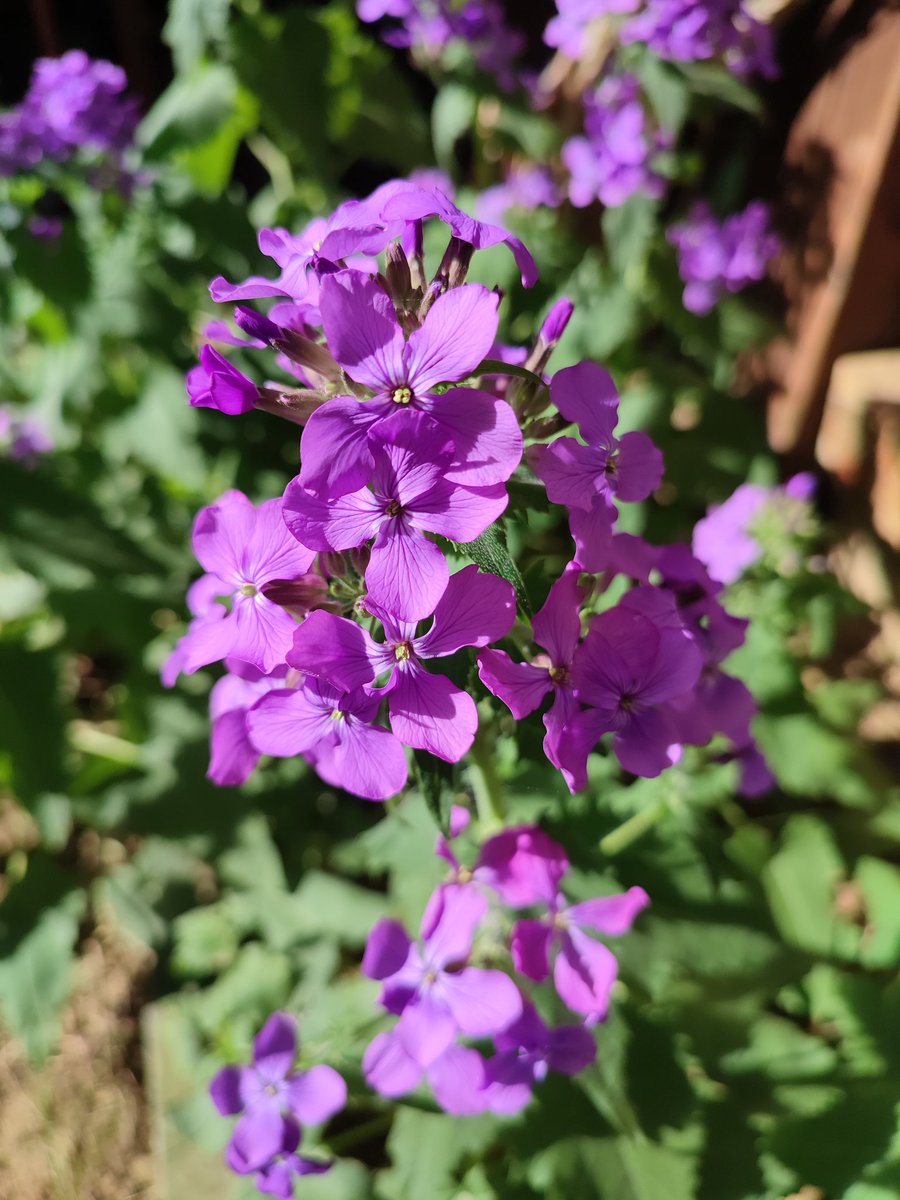 NumerologiaSk's tweet photo. #dobreranojar #goodmorningspring https://t.co/32l3LL2OqW