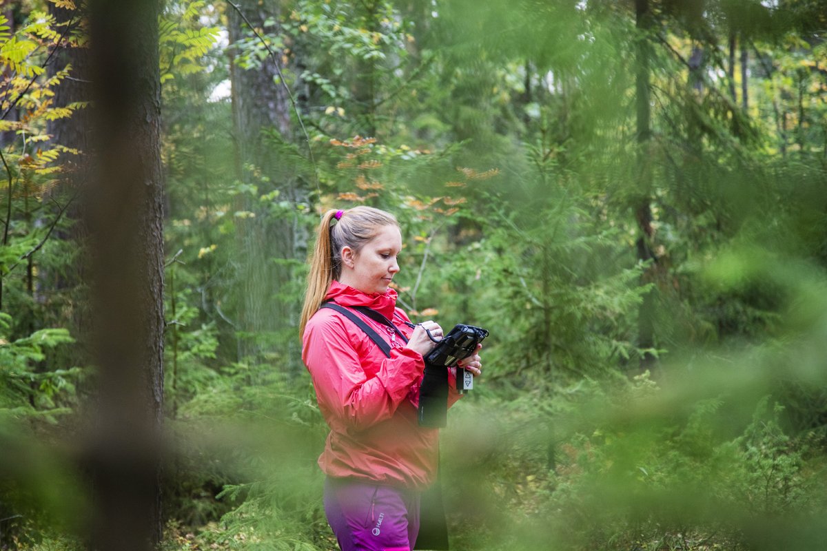 Haemme

🌱 Projektipäällikköä TIESIT-hankkeelle
🌱 Projektipäällikköä Vauhtia talousmetsien luonnonhoitoon Pirkanmaalla-hankkeelle
🌱 Projektineuvojaa Savolainen metsäkeskustelu-hankkeelle
🌱 Metsäneuvojaa vuorotteluvapaan sijaisuuteen.

Lue lisää: metsakeskus.fi/fi/tietoa-meis…

#rekry