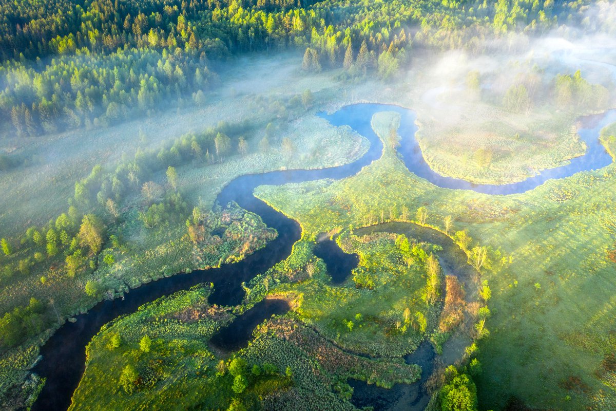 'Water is connected to everything, nothing can work without water… Investing in green and blue water benefits all SDGs, mitigates climate change, and builds resilience for a sustainable future for people and the planet,' highlights @henkovink, our Executive Director. 📺 You can