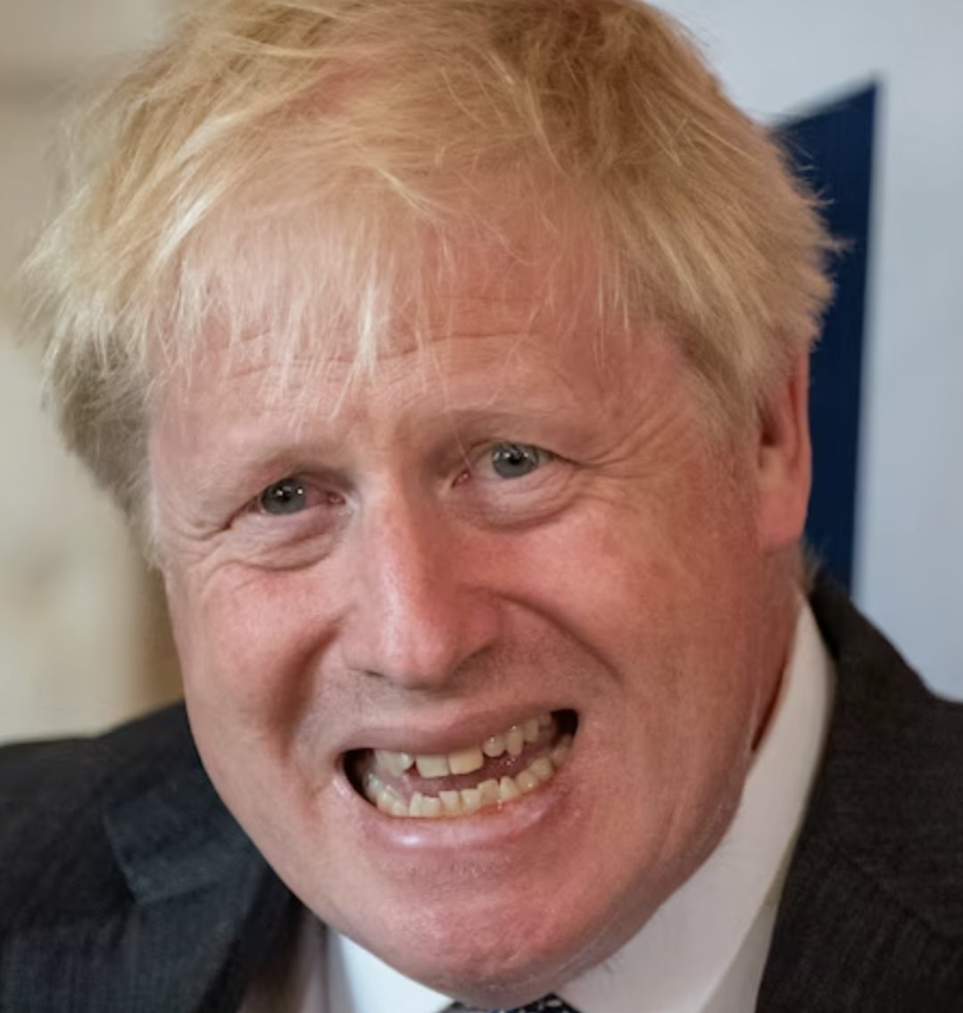 Boris Johnson was ultimately responsible for how quickly and aggressively COVID-19 swept onto the UK in 2020. The figures were  comparatively shocking on an international level. Lives could have been saved. Borders left open. We were sitting ducks. #BorisLiedPeopleDied