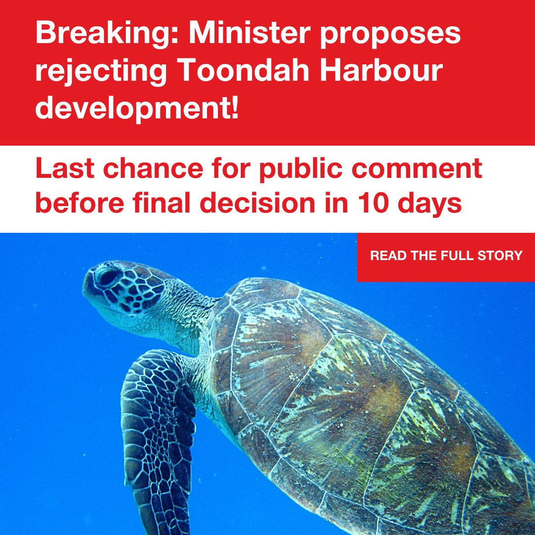 A huge win for Qld's environment: Tanya Plibersek has proposed to refuse the destructive development of #ToondahHarbour! The Toondah Alliance worked hard for to secure protection for this internationally renowned habitat and we are delighted to see Toondah proposed for rejection.