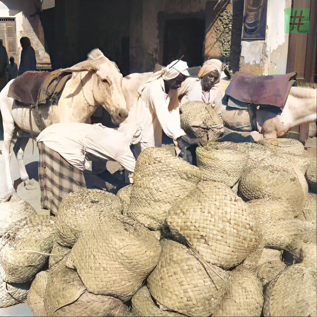 hashalhsa's tweet image. صورة: لسوق  التمر بـ #الاحساء قديما