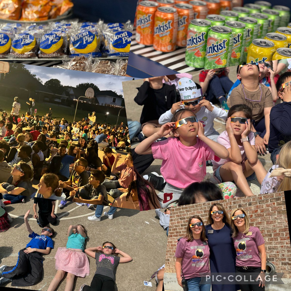 Vaughan Vikings tweet media