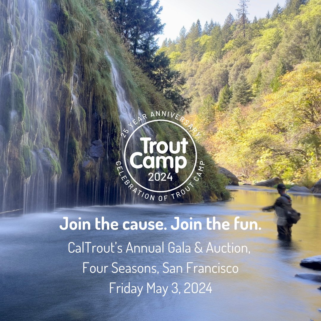 On May 3, join us for our 25th annual Trout Camp Gala & Auction at the Four Seasons in San Francisco! 🌉 Click here to secure your tickets now: caltrout.org/trout-camp-gala We can't wait to see you there! 🥳