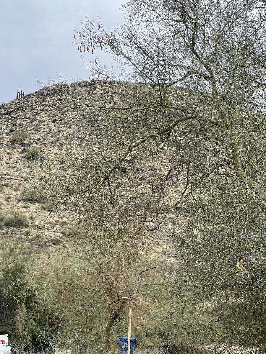 Had to do a solo #Hike today and rocked it out 🙂 No excuses even though I wanted to! #Hiker #AzHikingGirl #Healthy #Exercise #Workout #Happy #Smile #Outdoors