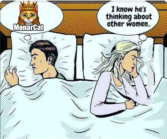 MonarCat tweet media