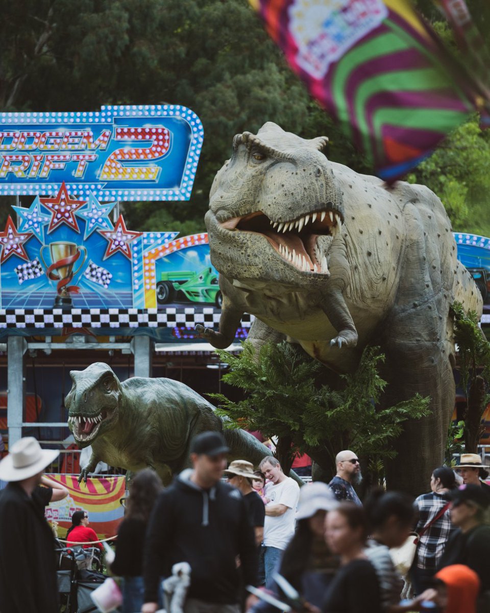 Roar into @DestPERTH (Boorloo) for a fin-filled family adventure with Jurassic Kingdom in April! 🦖Explore Burswood Park's prehistoric wilderness, sideshows encounter 20+ life-sized dinosaurs which even illuminate at night 🌟 #WAtheDreamState Get dreaming: bit.ly/3V887xU