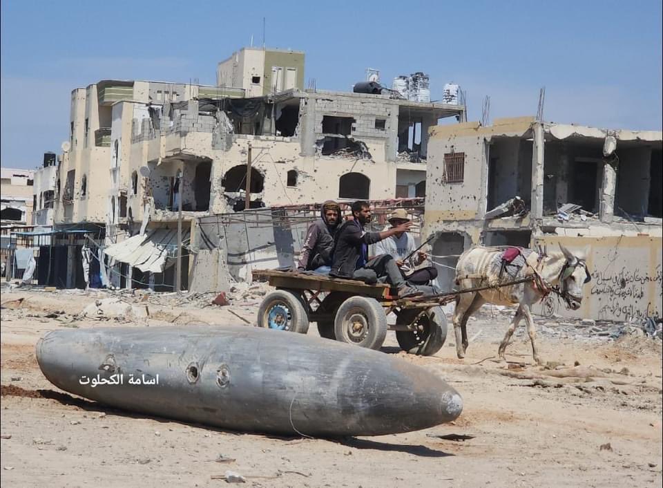 Yes, they are gathering the bones of human beings—some perished due to starvation, while others were shot and denied medical treatment. This is Gaza.