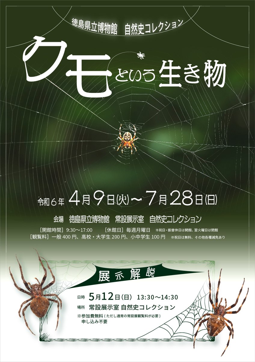 本日から自然史コレクション「クモという生き物」が始まりました。当館