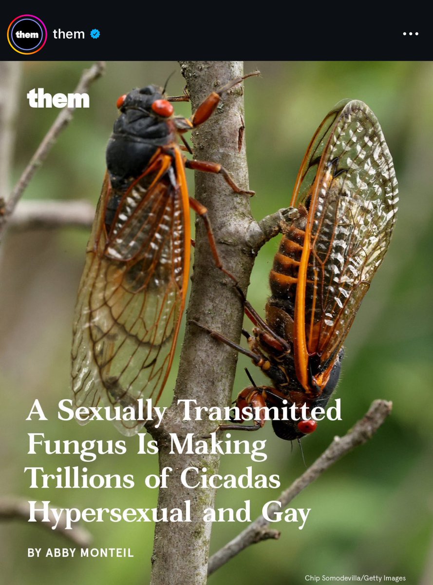 NataniaBarron's tweet image. Eclipse is over. Now it’s time for