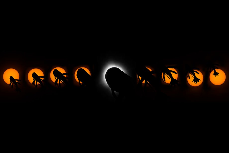 BalancingMonkey's tweet photo. Is it a bird? Is it a plane? 

Could it be...a Space Whale? Perhaps 😏
#Eclipse2024  #BeyondTheseStars https://t.co/Vv2BbnNNBA