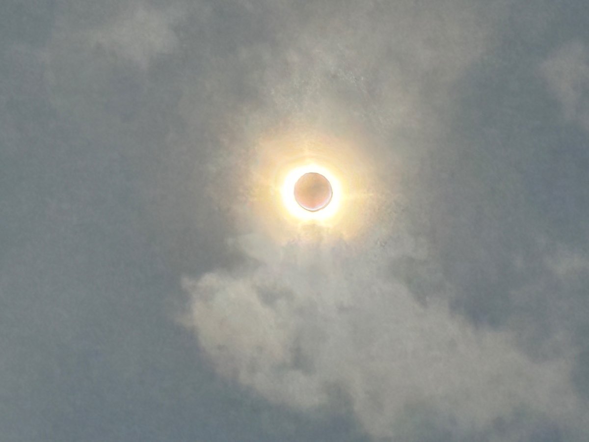 Lauren Houser tweet media