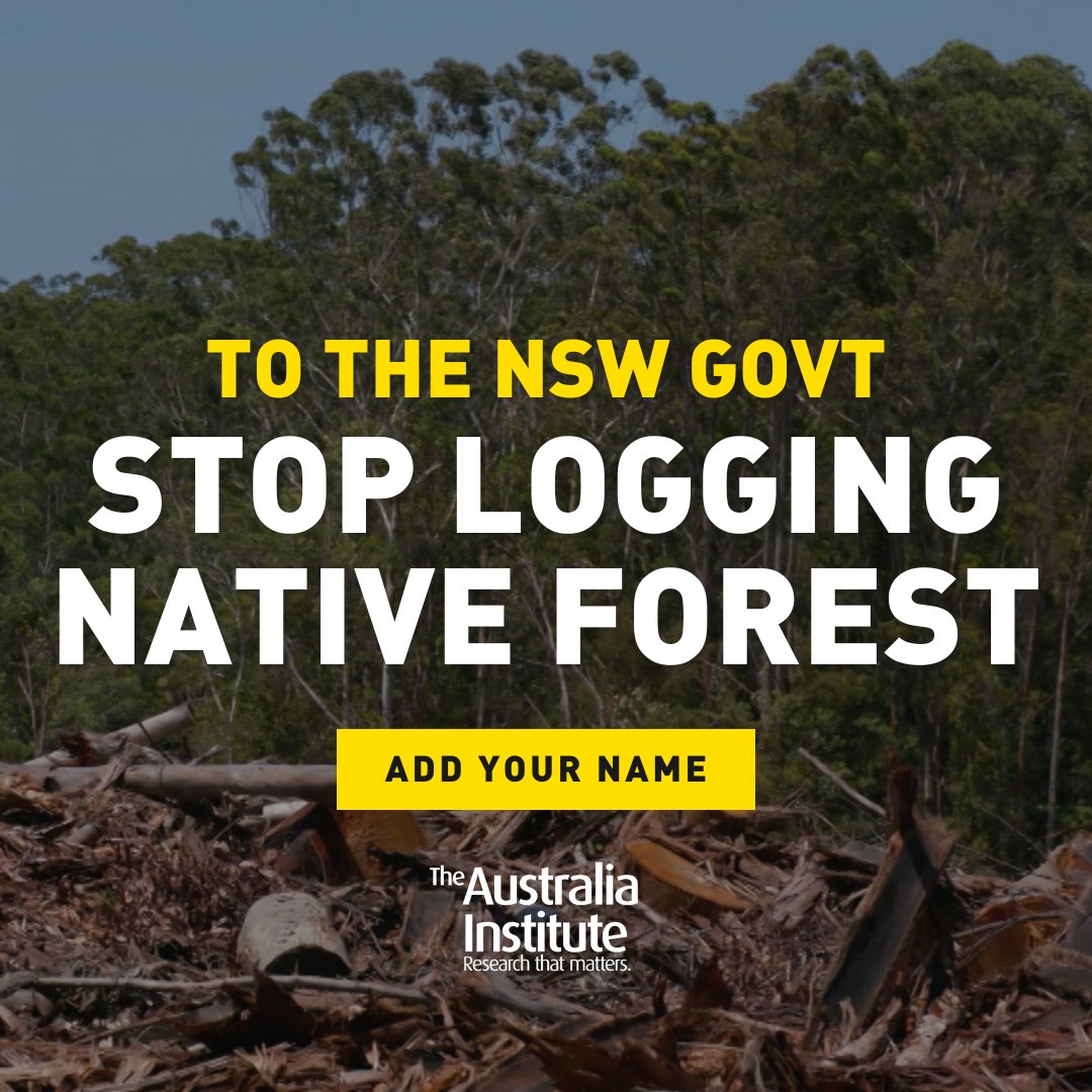 Native forest logging continues to devastate koala habitat, despite the NSW Labor Govt promising to protect it. Our open letter, signed by 100+ leaders & experts, calls for native forest logging to end. Add your name, help protect the forests: theaus.in/protectforests… #auspol