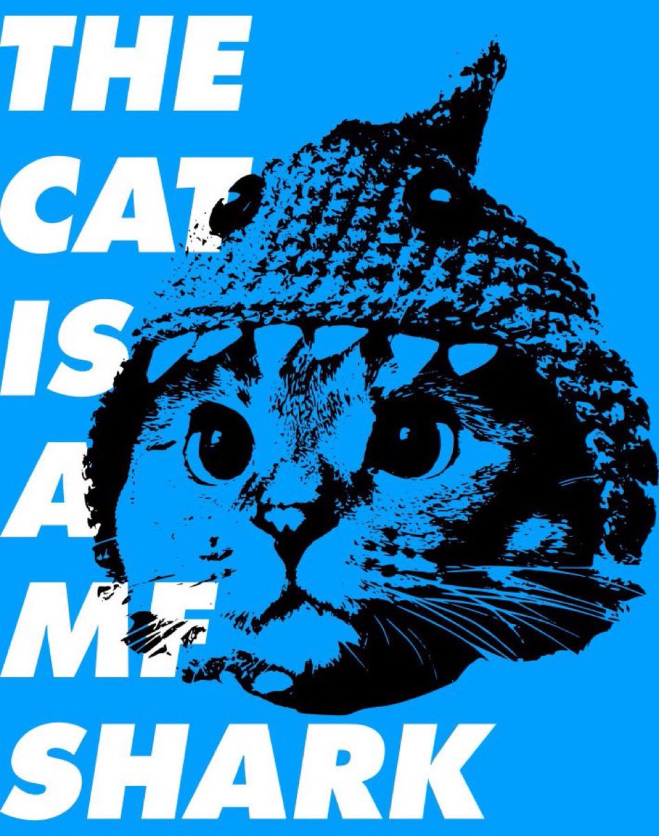 Shark Cat 🦈🐱 tweet media