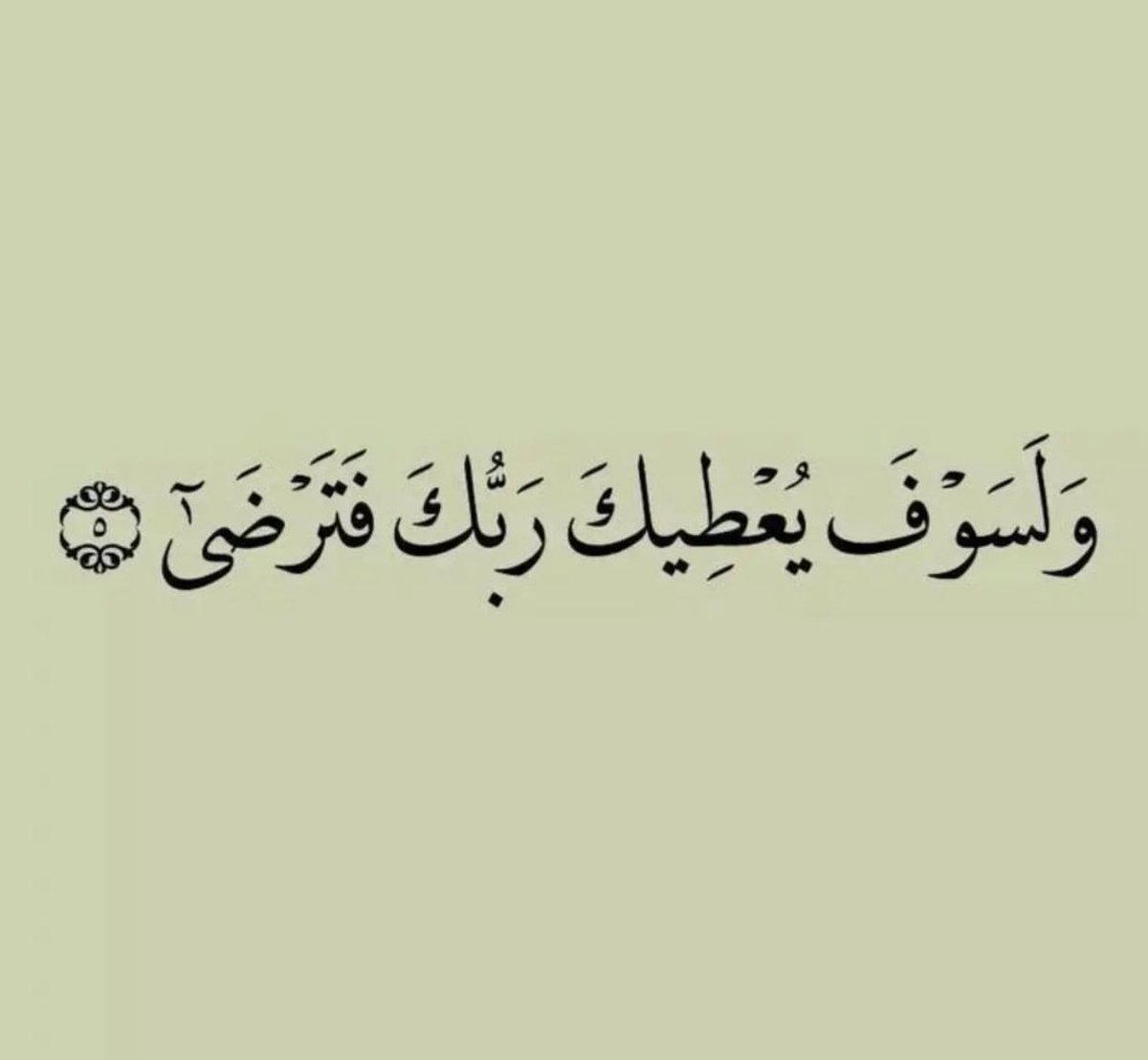 mtarek655 tweet picture