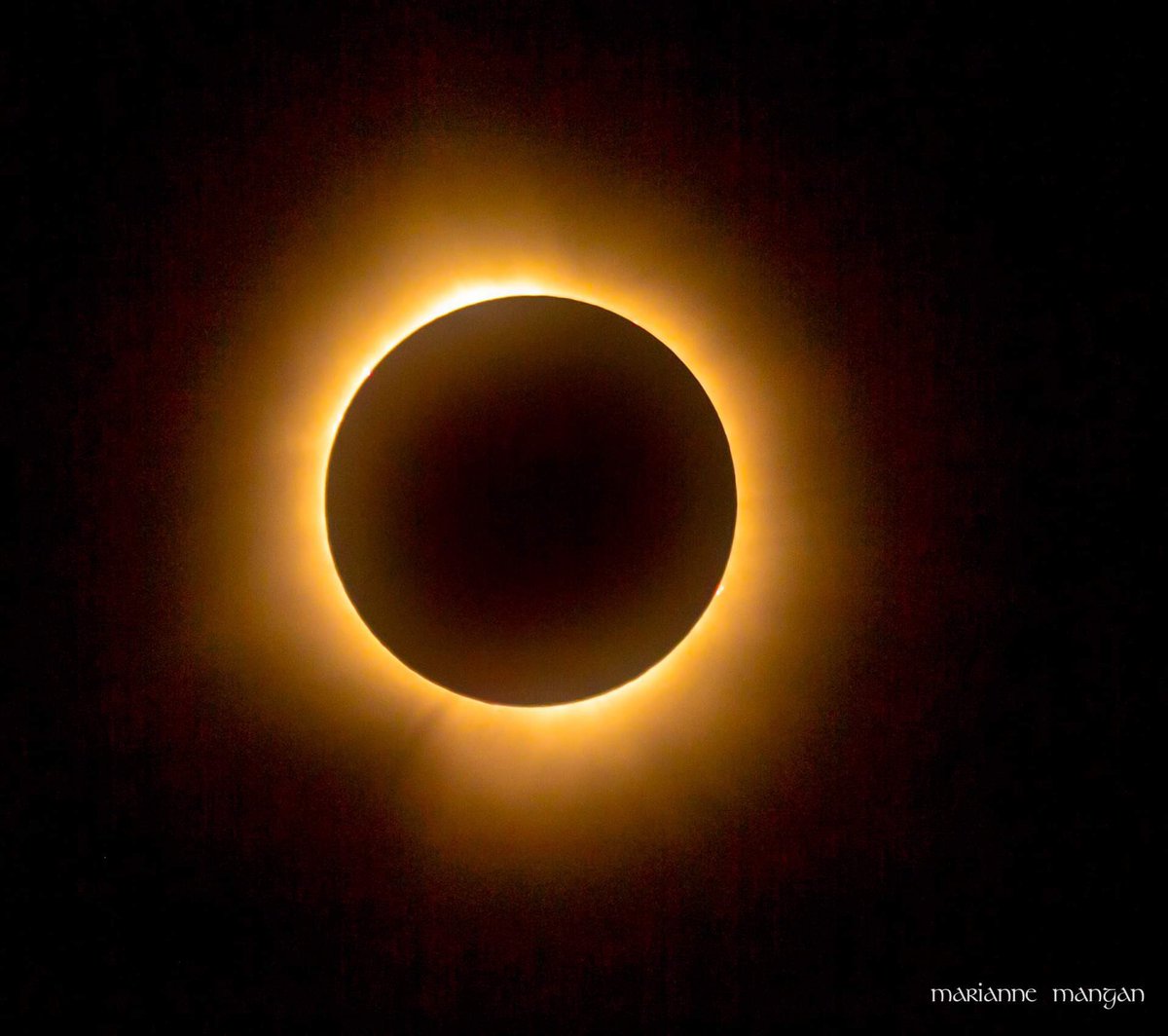 mamamangan's tweet photo. cannot even explain what a miracle this was to experience…
thank you Cleveland!!!❤️
@clevelanddotcom #Eclipse https://t.co/VZtTQLEoq6