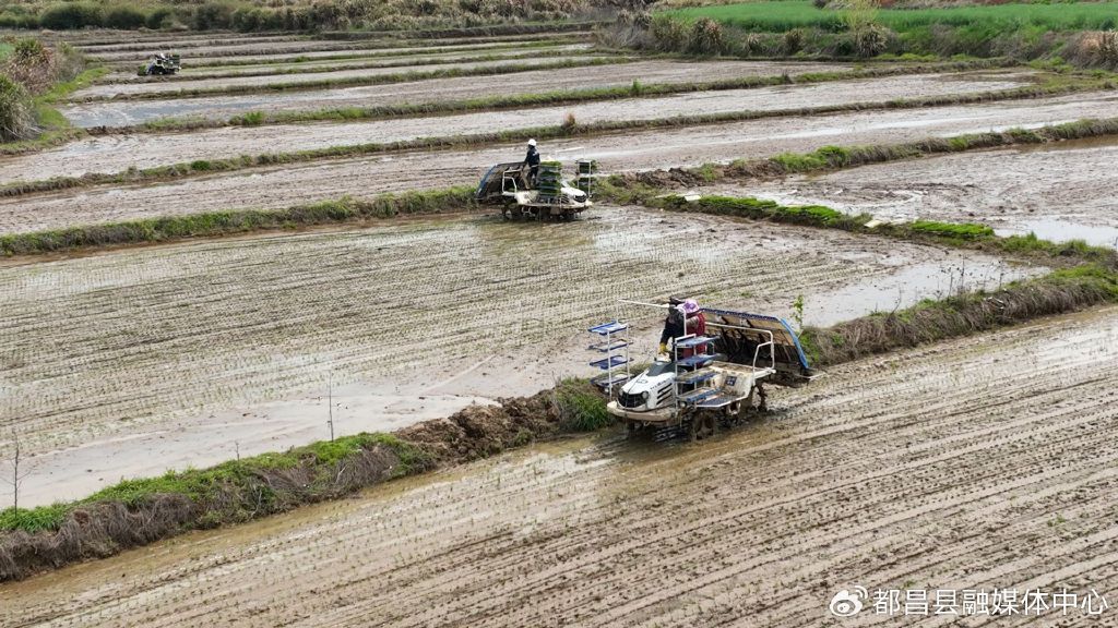 Visit_Jiujiang's tweet image. Early rice planting has begun in various parts of Jiangxi province.#Springplowing #Jiujiang
Location: Duchang ，Jiujiang