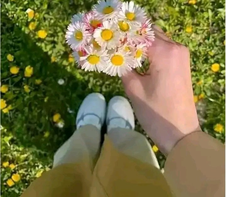 Mahmona2580's tweet photo. . ASLAMO
ALIKUM GOOD MORNING  🥹

میری عیدی؟ ☺🤝. https://t.co/xAYYGv8WVY