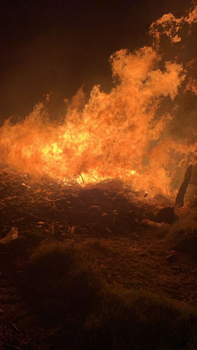 🚒 Bomberos atienden Incendio Forestal en Barrio La Lomita, Col. Santiago Tepatlaxco. 🌳 Extrema Precauciones en la Zona. #IncendioForestal #Seguridad 🔥