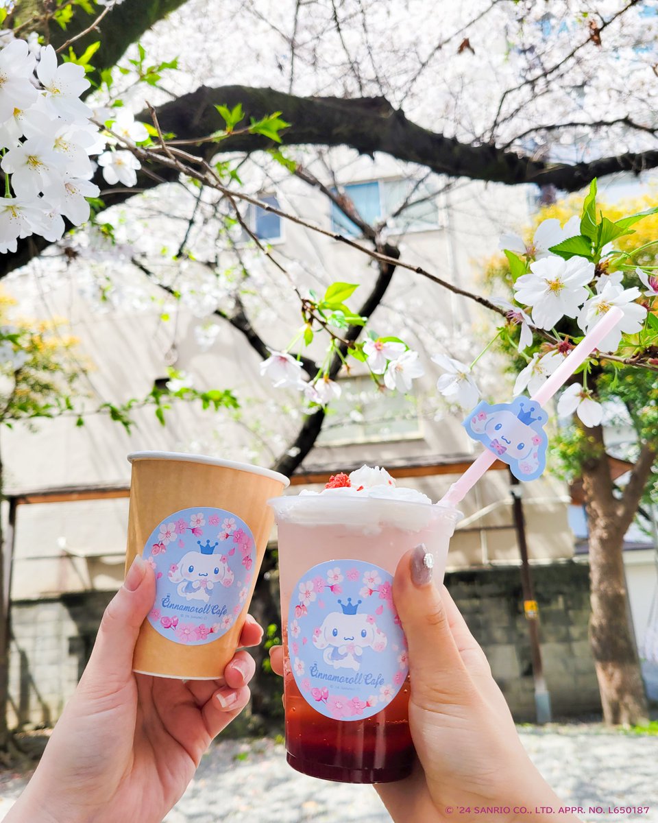 ˗ˏˋ🌸春イベント開催中🌸ˊˎ˗

お花見やいちご狩りなど、春はお出かけ日和！
#シナモロールカフェ では限定メニューを
5/15まで販売中です😊🍓
いちごソーダといちごミルクティーは
テイクアウトにぴったり🤍
是非お気軽にお立ち寄りください🎶

#シナモロール #シナモン #サンリオ #桜