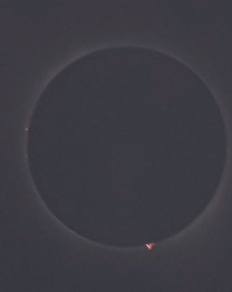 Neat shots I got today! One of the coolest things that I've seen!
