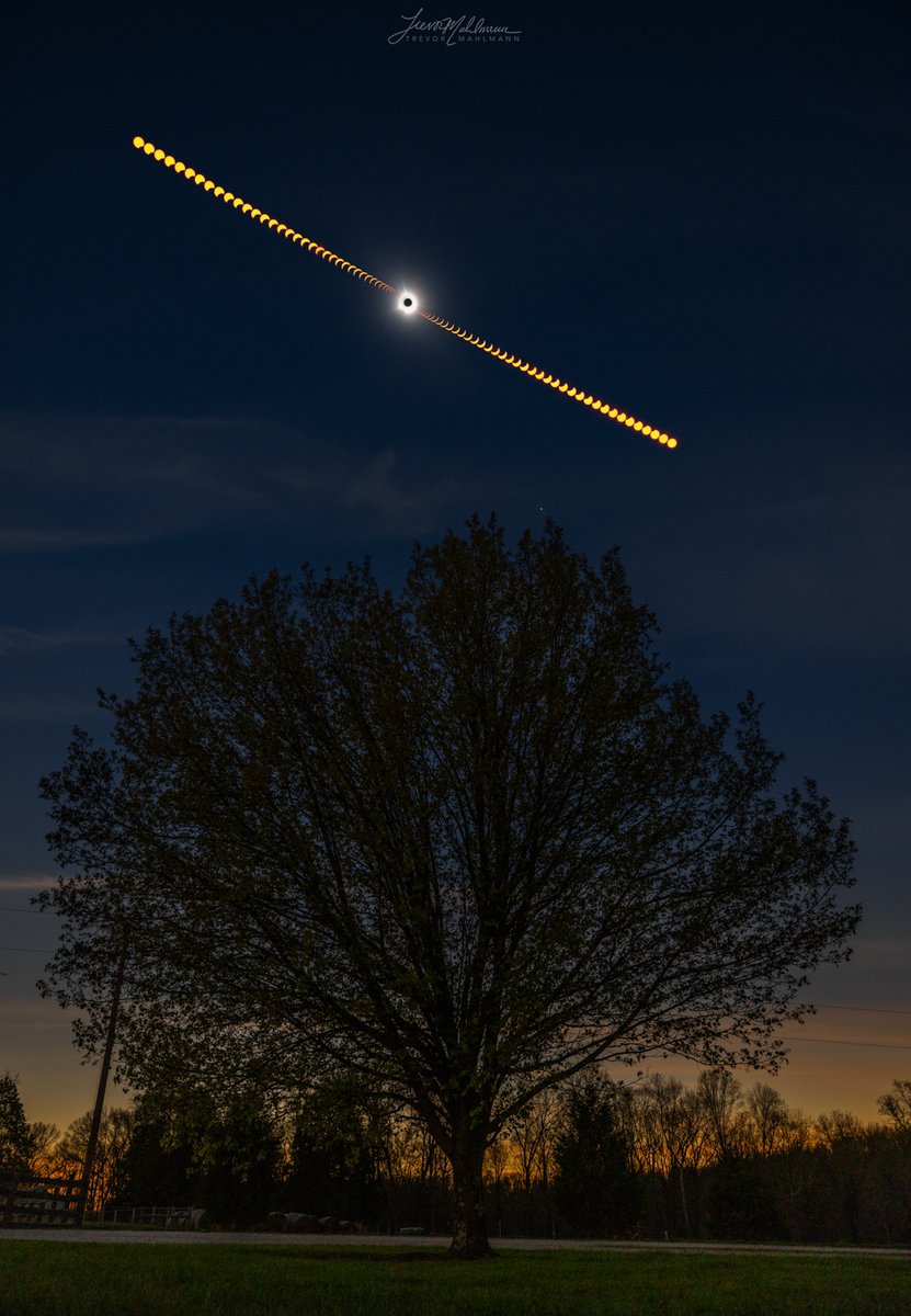 April 8, 2024—a day I’ll never forget☀️ Here’s my composite over one my grandfather’s pear trees here in Indiana showing the Sun slipping behind the Moon and emerging just 90 minutes later!🤩