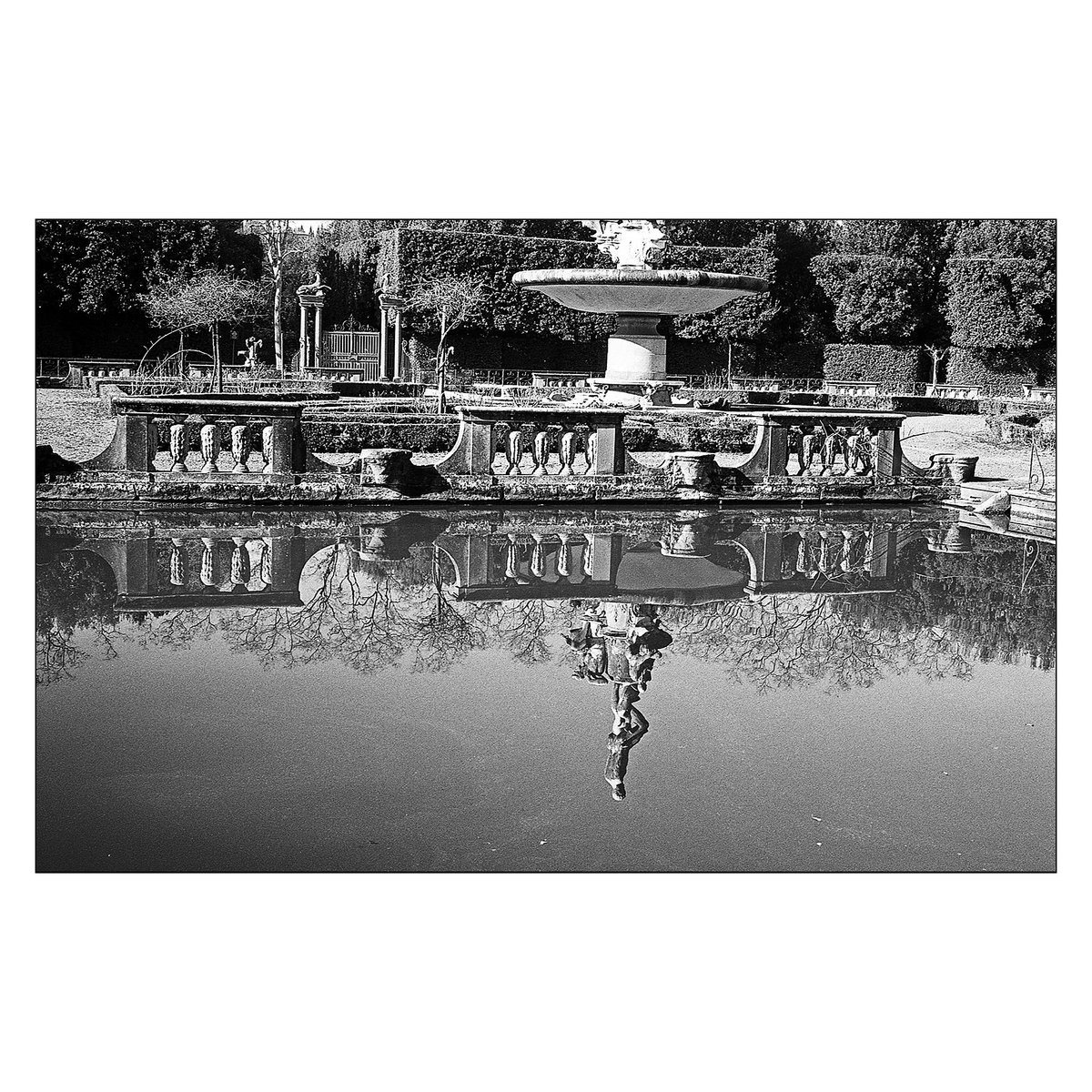 #boboli #firenzepersempre #rodinal #paesaggioitaliano #fotografiaanalogica #35mmfilmphotography #italianart