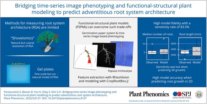 Advancing plant root studies: We integrate germination paper system with time-series phenotyping & FSPMs for Populus trichocarpa. Insights into root initiation timing & growth dynamics. #PlantRoots #Phenotyping
Details:spj.science.org/doi/10.34133/p…