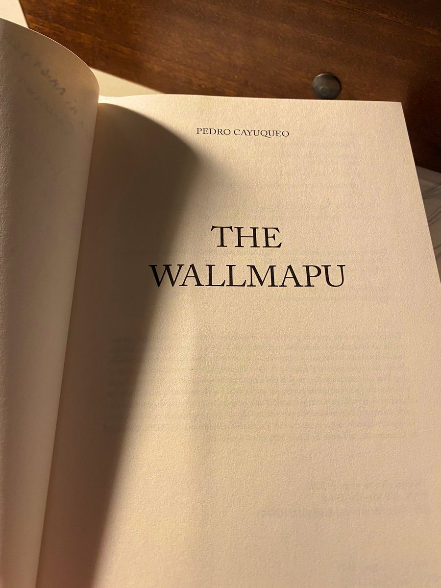 Es_carolaa's tweet image. Lectura nocturna #thewallmapu @pcayuqueo #regalodecumpleaños