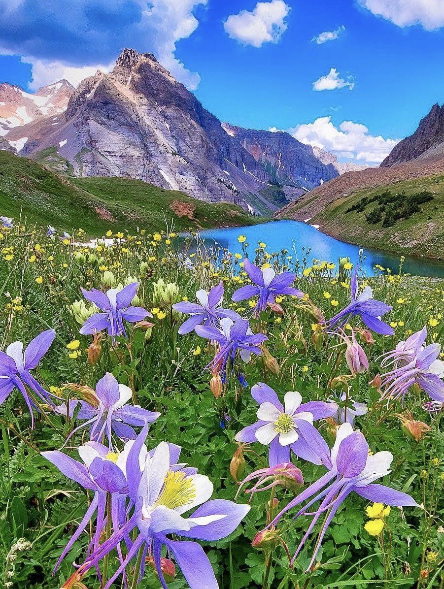 Good Morning Have a Nice Day (Colorado-USA,📷 Pinterest)