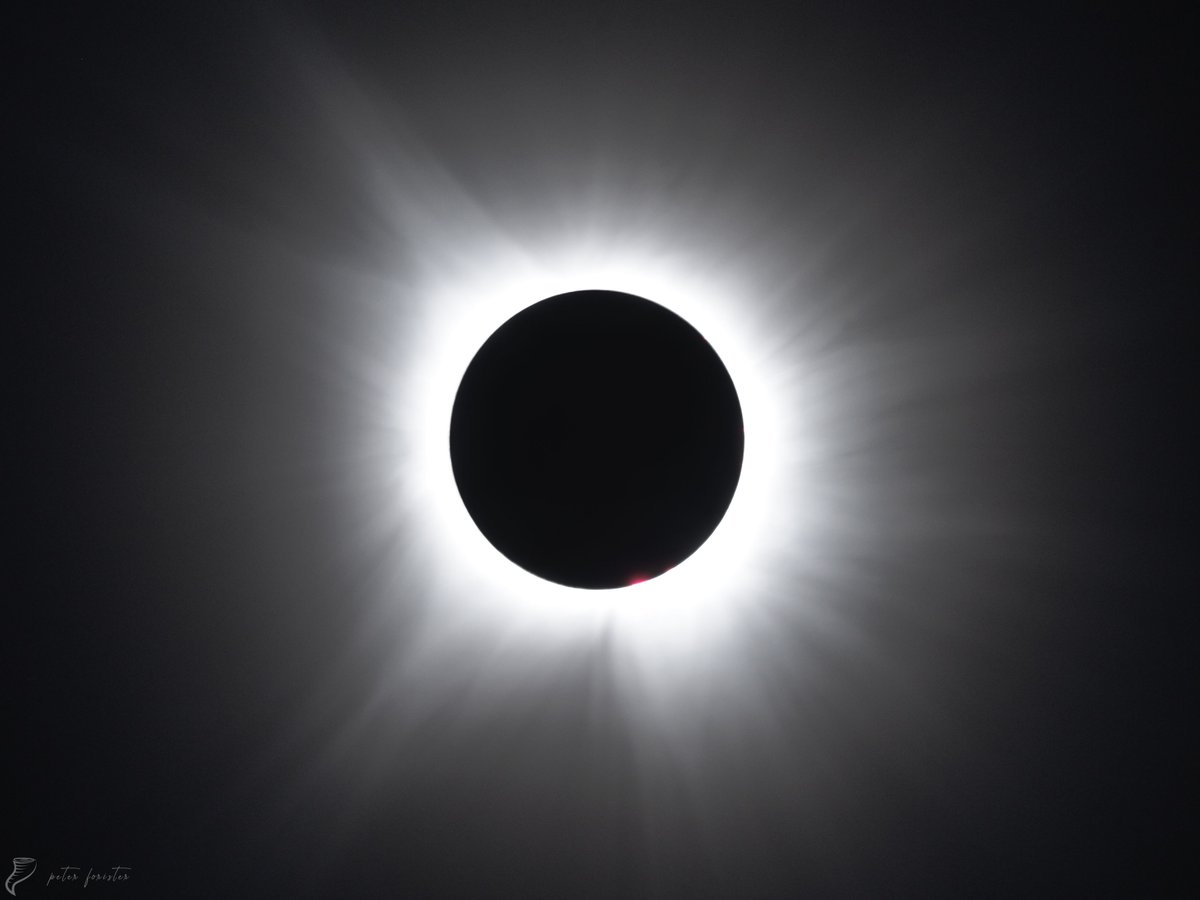 forecaster25's tweet photo. The solar corona and breathtaking red prominences encircling the sun. Single exposures at 540mm.  

Franklin, Indiana. 3:05-3:10pm, 4/8 https://t.co/2BeB4ELdym