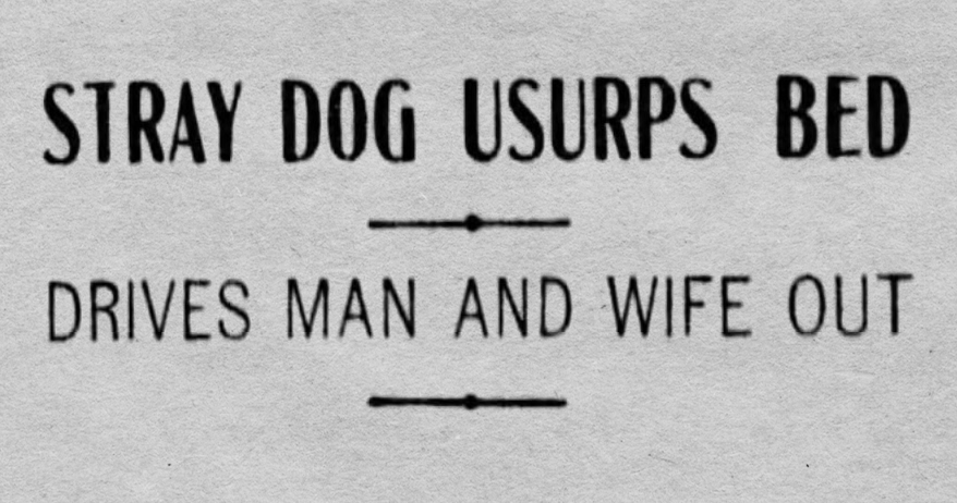 The Star Press, Muncie, Indiana, July 18, 1909