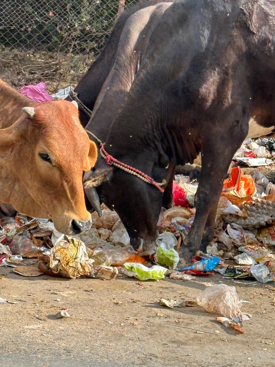 Indranil Roy tweet media