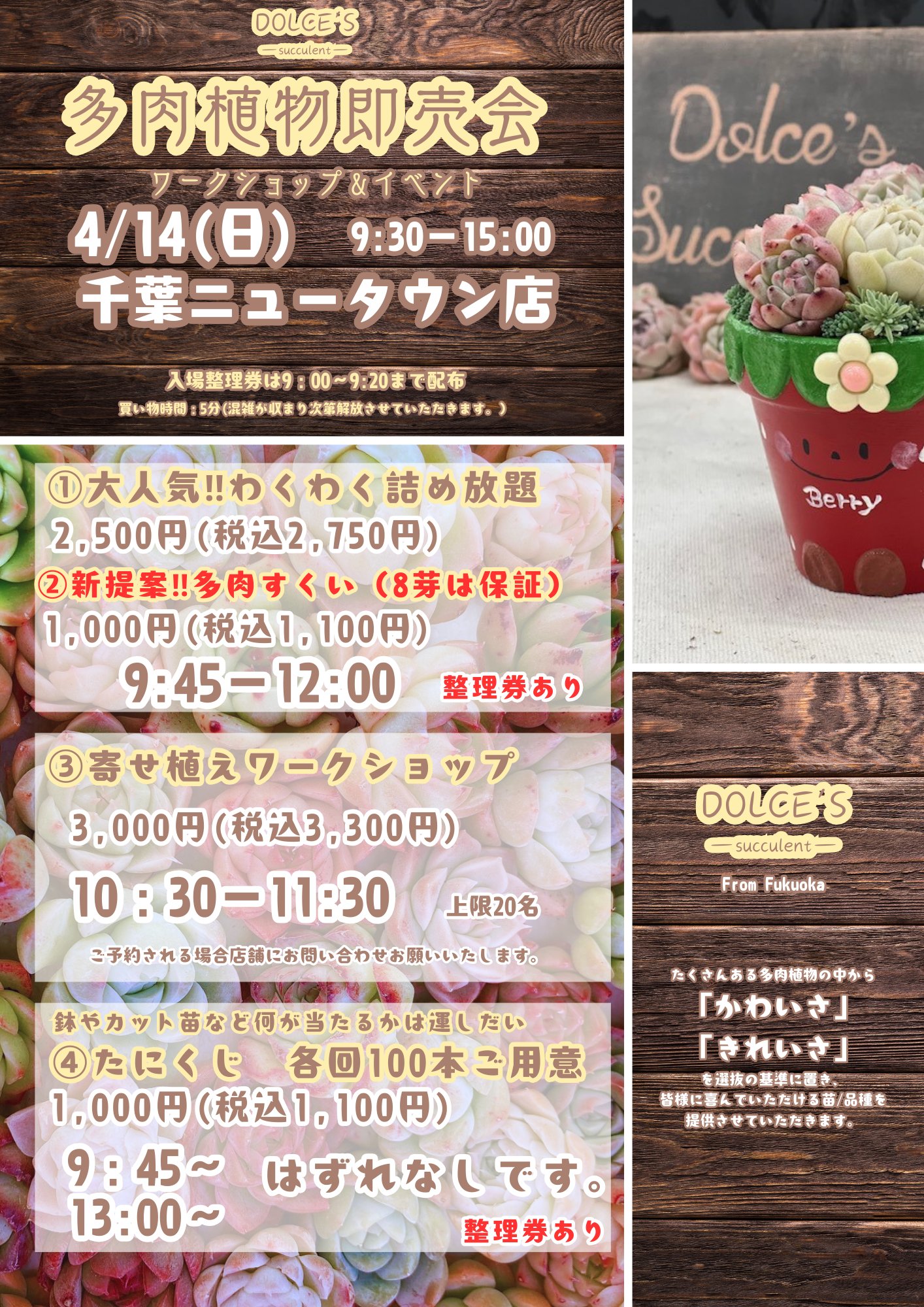 タニクレーン＊keiko＊多肉植物販売 | ①②葉挿し、カット挿し