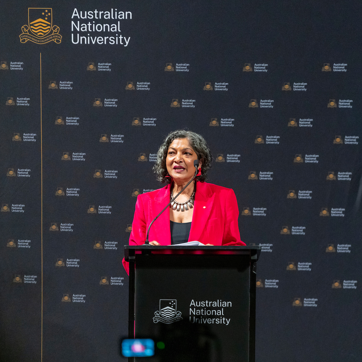 Recently our Executive Director, Padma Raman PSM, delivered the 2024 Susan Ryan Oration Speech honouring one of our communities greatest advocates for age and gender equality. With thanks to @ANUmedia, view the full speech here: spr.ly/6012wZEGa