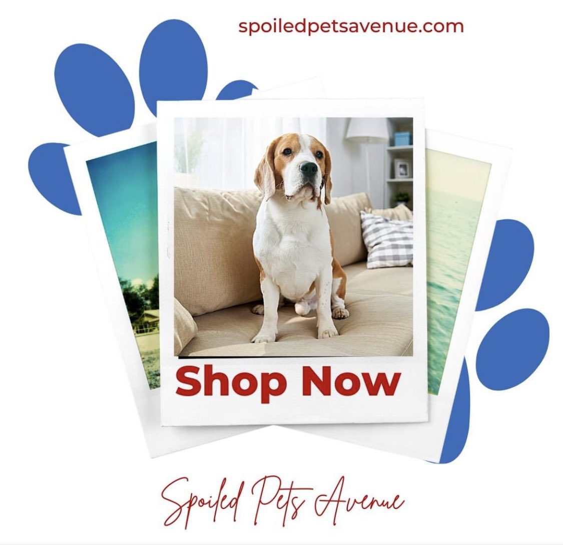 Give your pet the high life they deserve with our luxury essentials .#HappyPets #PetCare #CuttingEdgePetSupplies #SpoiledPetsAvenue #PetSafety
#TravelWithPets
spoiledpetsavenue.com