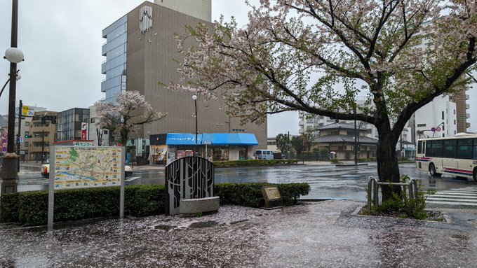 聖蹟桜ヶ丘の桜もこの雨と風でだいぶ散ってしまった さくら祭りはホントにジャストタイミングだったな https://t.co/nhOj0fuRa9<a href="/tag/%E3%81%B5%E3%82%86%E3%83%9F%E3%83%BC%E3%83%A0"class="tags"><span>#ふゆミーム</span></a>