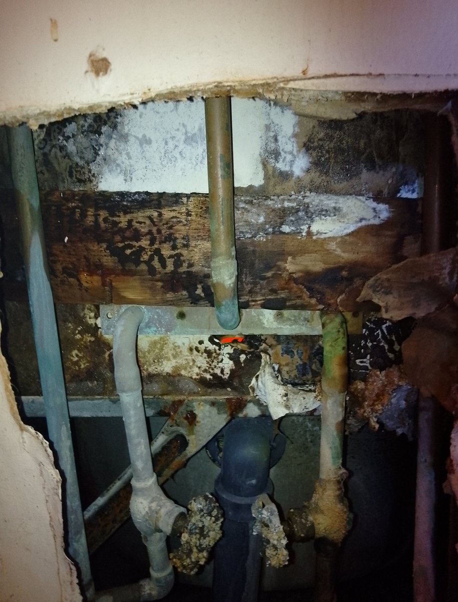 XGISKIPPY's tweet photo. This is the wall that was leaking. You can see the YEARS of damage from property neglect from the previous landlord (place got sold almost under everyone's nose and they didn't let the new ones look around) https://t.co/Pk3MzLqb5G