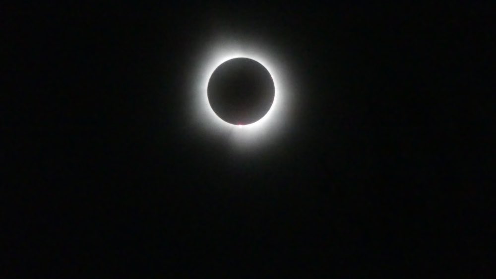 Paul Venturelli (@venturellilab) on Twitter photo That was SO special. Exceeded expectations. Talking about the visit from <a href="/DaveZanatta/">MichiganMusselMan</a>, of course. The sky literally looked like this. That was SO special. Exceeded expectations. Talking about the visit from <a href="/DaveZanatta/">MichiganMusselMan</a>, of course. The sky literally looked like this.