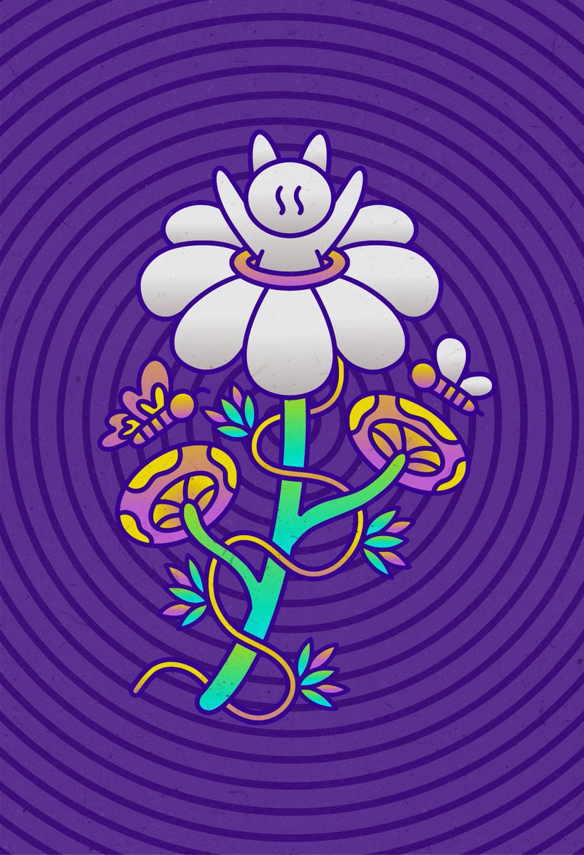 thesensor ⚡️ tweet media