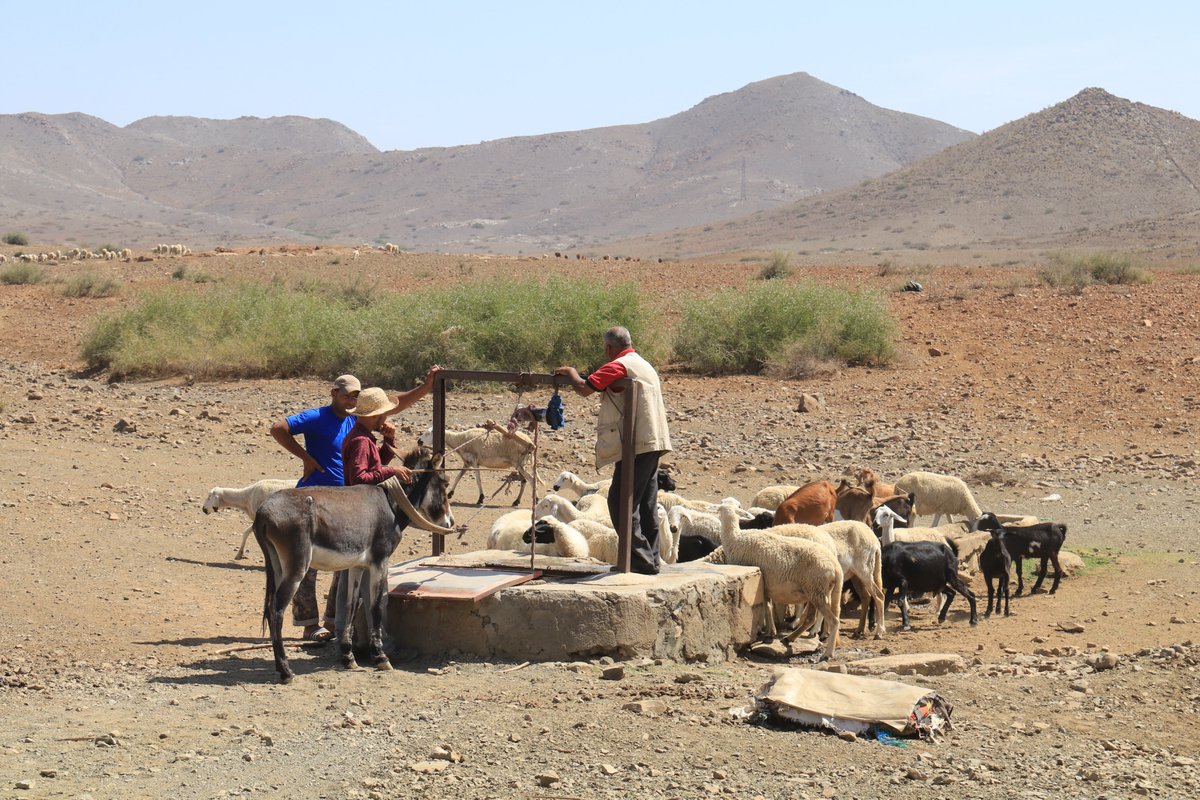 The Composite Drought Indicator (CDI) under the <a href="/USAID/">USAID</a>-funded #MENAdrought project aids decision-makers in Jordan, Lebanon, Morocco, &amp; Tunisia, to develop effective responses during drought events. 

Read more about CDI in this <a href="/Nature/">nature</a> paper ▶️ on.cgiar.org/49vISZC