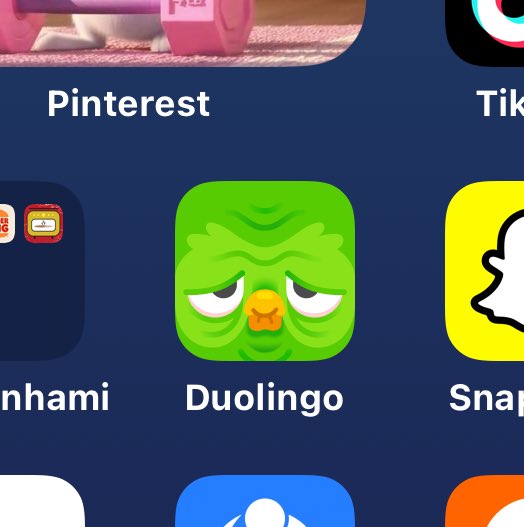 troxonica's tweet image. O meu Duolingo depressivo pq não to fazendo as atividadeskk