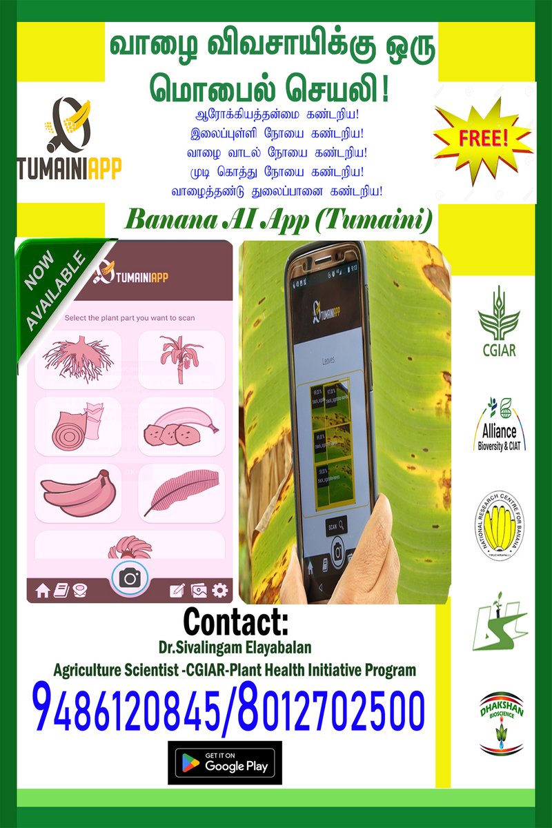 Technology promotion of AI app Tumaini online flyer to banana farmers of South India via What's up group and Facebook etc.,<a href="/BiovIntCIAT_eng/">Alliance of Bioversity International and CIAT</a> <a href="/BiovIntCIAT_Lib/">Bioversity International & CIAT Library</a> <a href="/CGIAR/">CGIAR</a> <a href="/MICHAELSELVARA7/">MICHAEL GOMEZ SELVARAJ - Phenomics Lab</a>