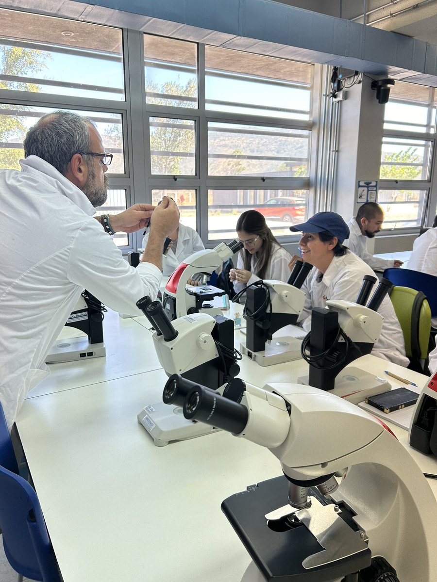 Curso electivo nematologia. Semana 3 🎉#nematoderocks