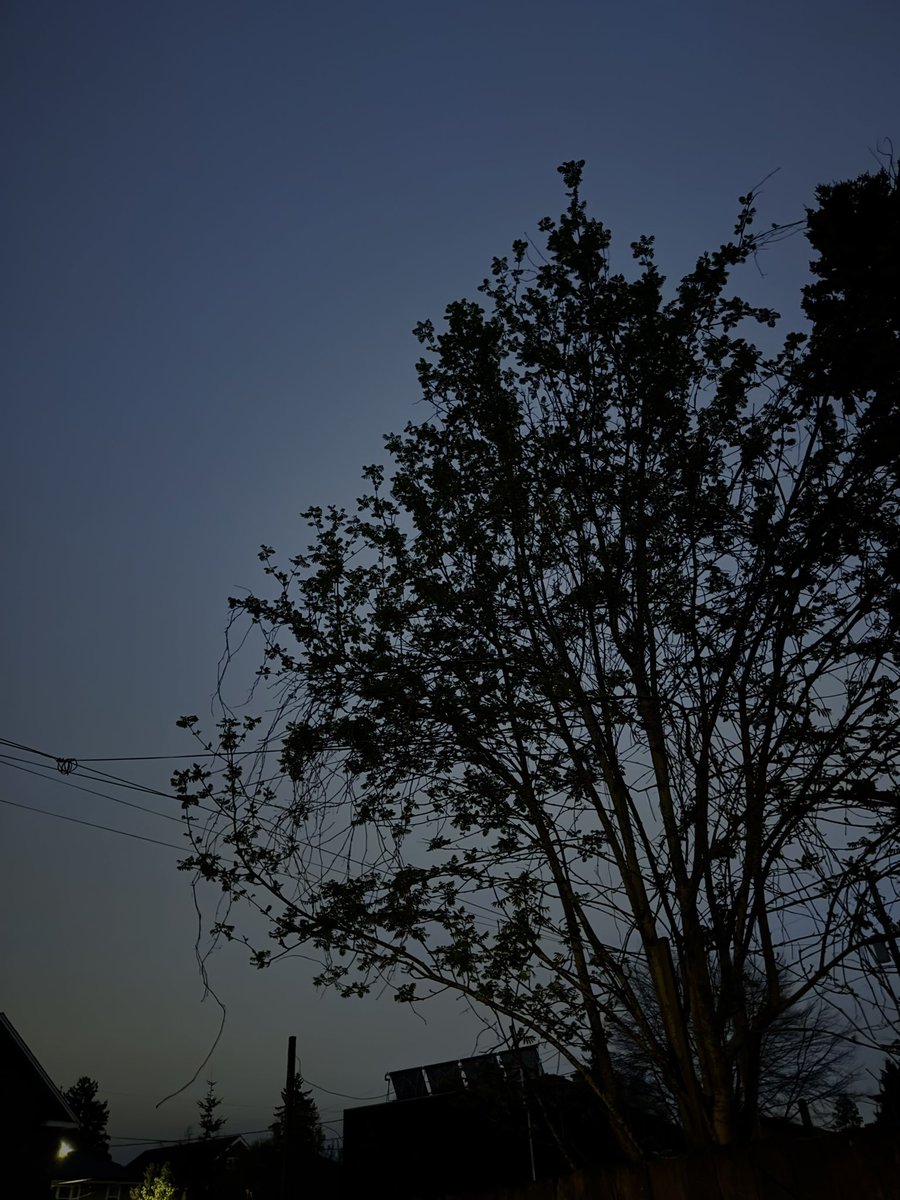 The eclipse was SO cool!!!!!!!!!! Check out this awesome photo I took!!** . . . . . . . **this is my backyard at 8pm. I live in Oregon. I did not see the eclipse.