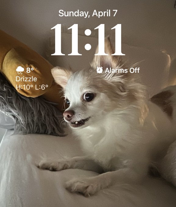 1111 ✨ make a wish 👇🏻 https://t.co/xJmTAQzGoW<a href="/tag/bonghitbabe"class="tags"><span>#bonghitbabe</span></a>
